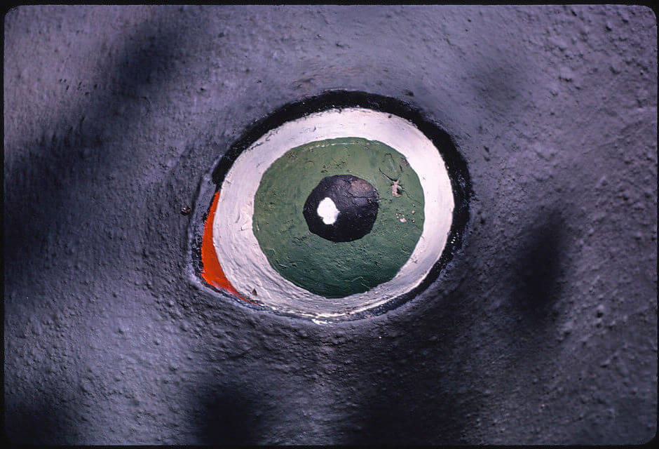 Eye